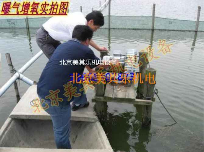 小龍蝦養(yǎng)殖微孔增氧高壓鼓風(fēng)機